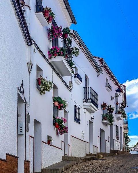 Whitewashed street with flower pots on the walls